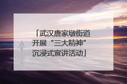 武汉唐家墩街道开展“三大精神”沉浸式宣讲活动
